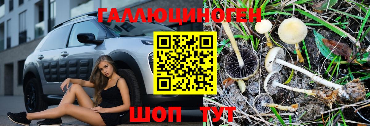 Галлюциногенные грибы MAGIC MUSHROOMS  Галлюциногенные грибы мухоморы  Чебоксары  Вход с VPN 
