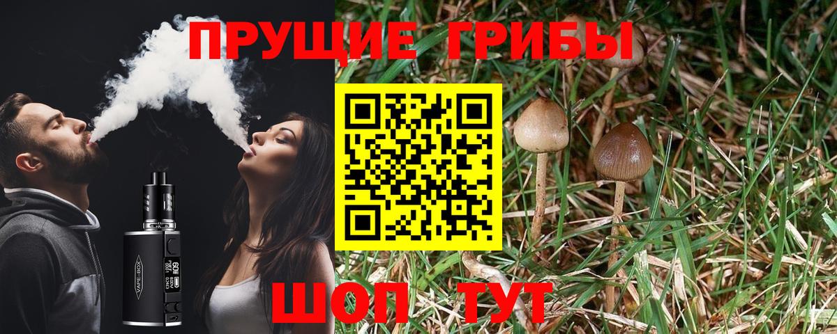 Галлюциногенные грибы ЛСД Чебоксары
